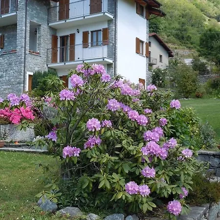 Casa Lavanda Ferienhaus Traona